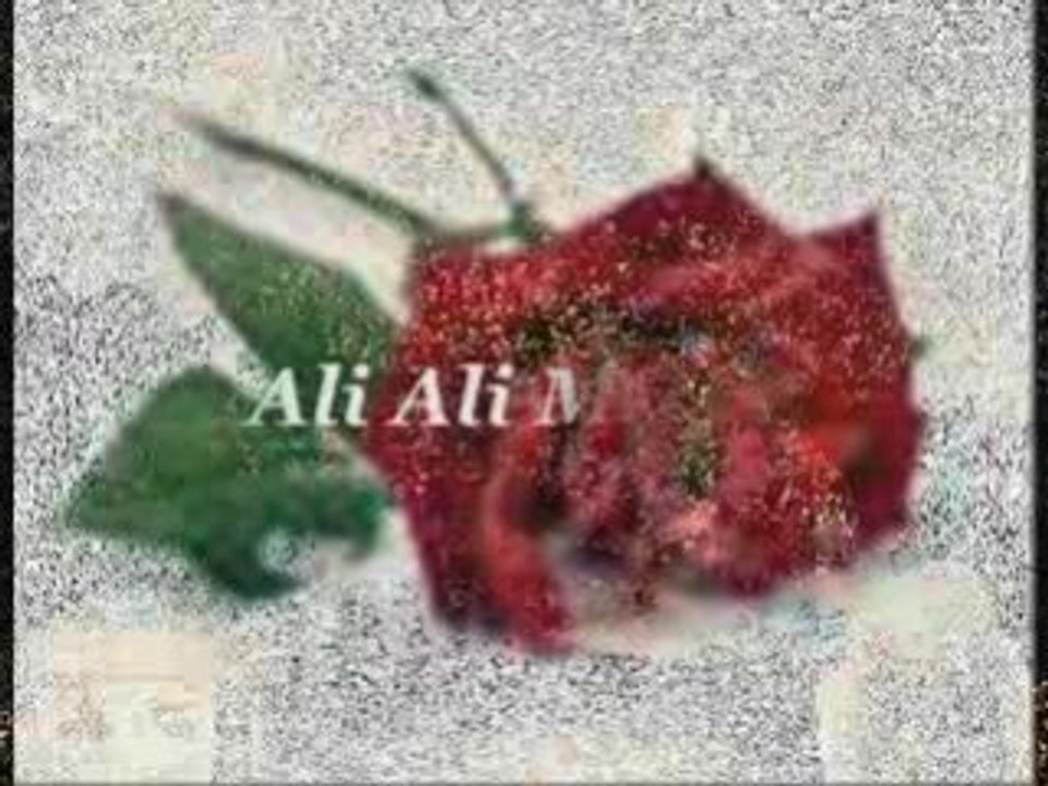 Imam Ali - - Ali Ali Mevla- Shia Song