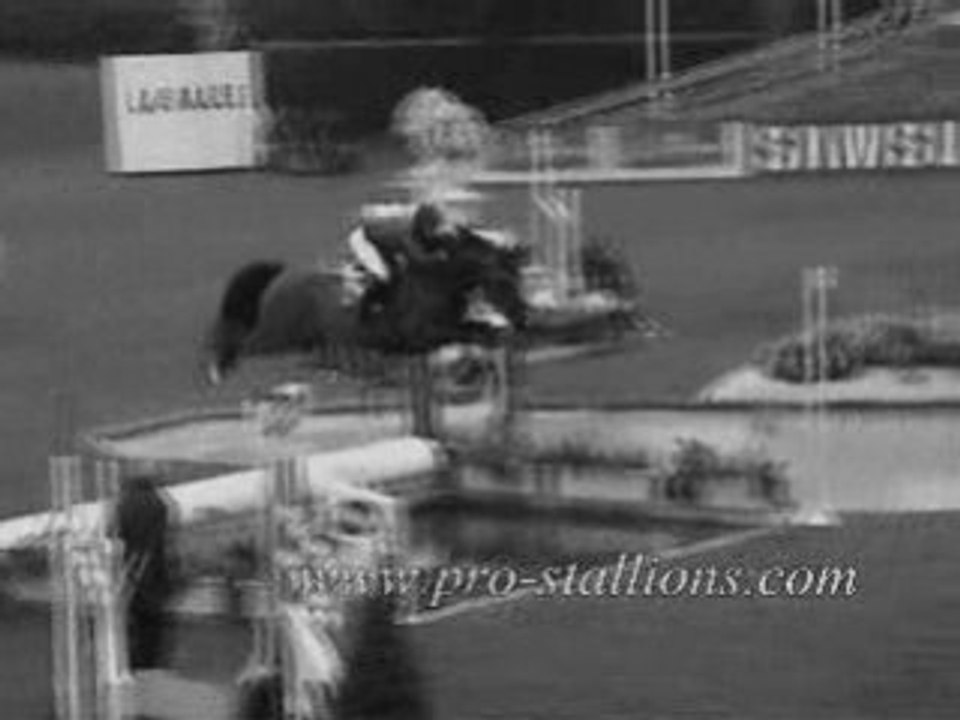 . Horses ( L ) .