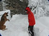 Cyril qui déneige et Kapy qui joue avec la neige