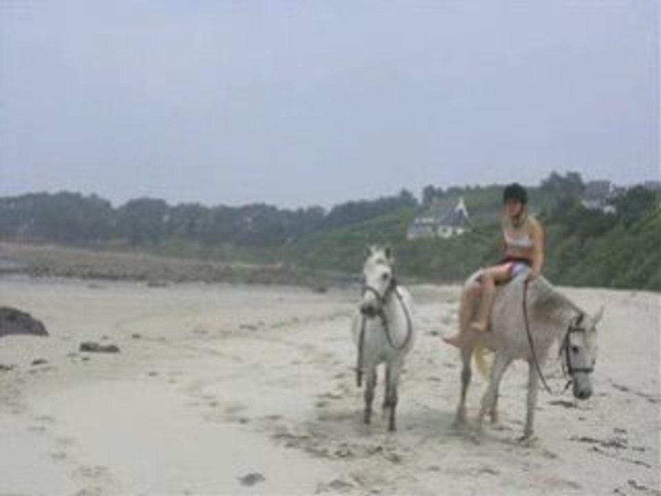 3 ans indiana