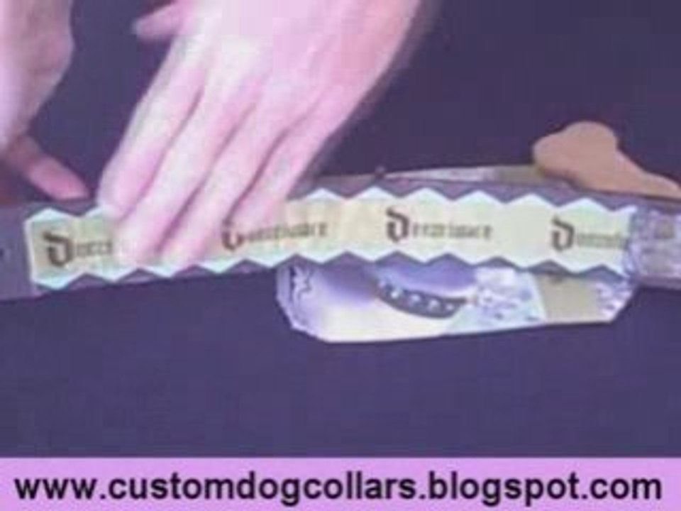 Where To Buy The Best Personalized Dog Collars Online!