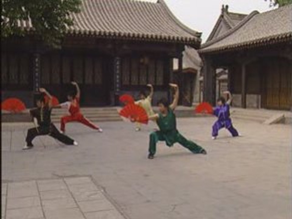 Chang Shan - Niv 1 Taolu  Wu Bin