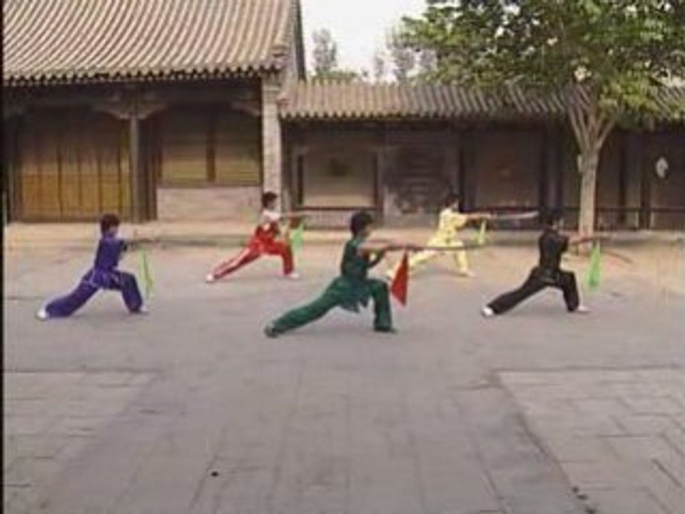 Chang Dao - Niv 2 Taolu  Wu Bin