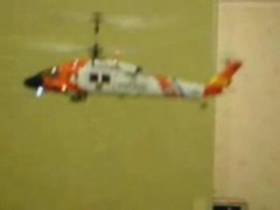Indoor Hawk rc (19-12-08)