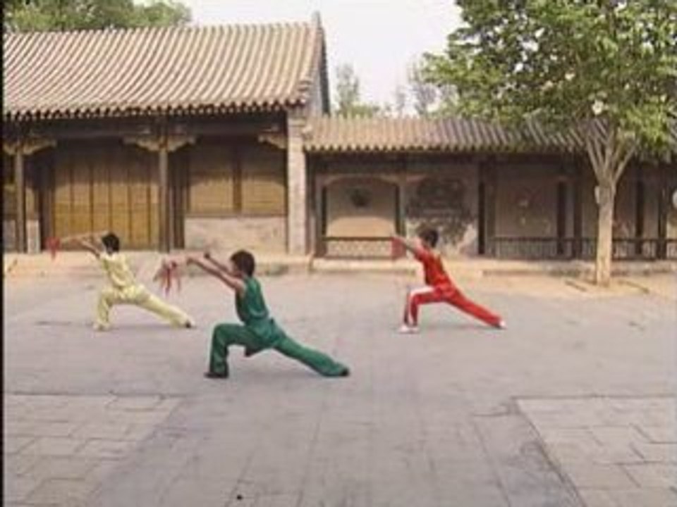 Chang Qiang - Niv 1 Taolu  Wu Bin