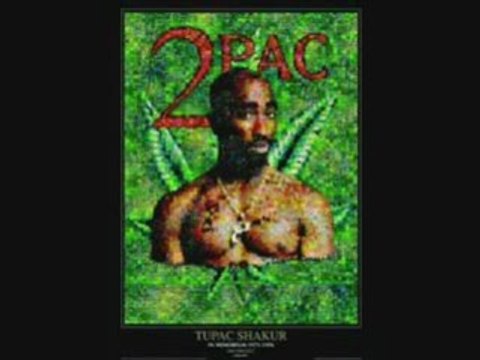 Shorty Wanna Be a Thug