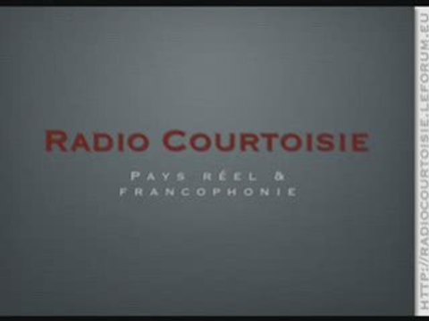 Les armes électro-magnétiques 1/2