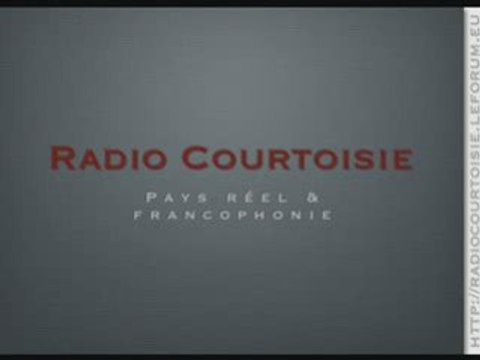 Les armes électro-magnétiques 2/2