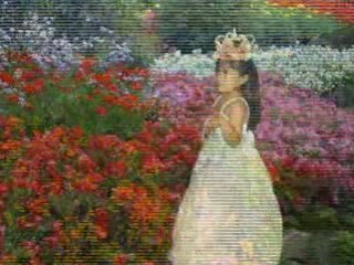 Top Miss Universe Winners 🏆