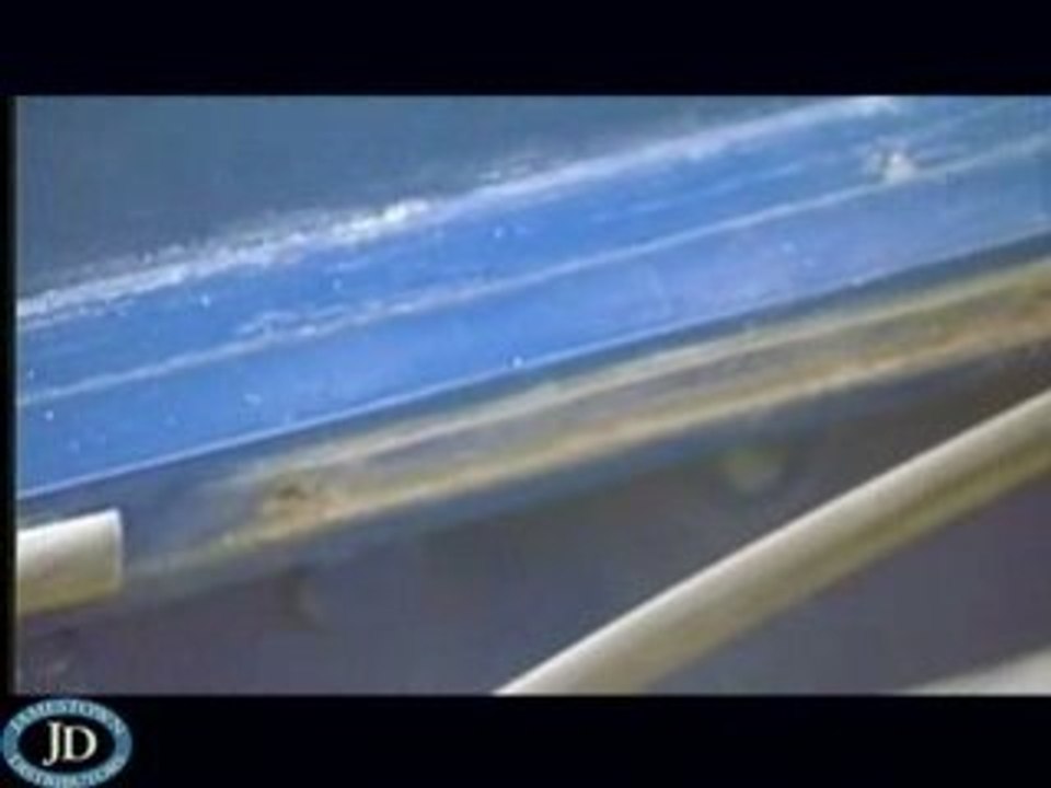 Boatlife GIT-Rot