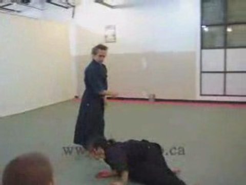 Aikido master Raynald Fleury: various Kokyu Nage
