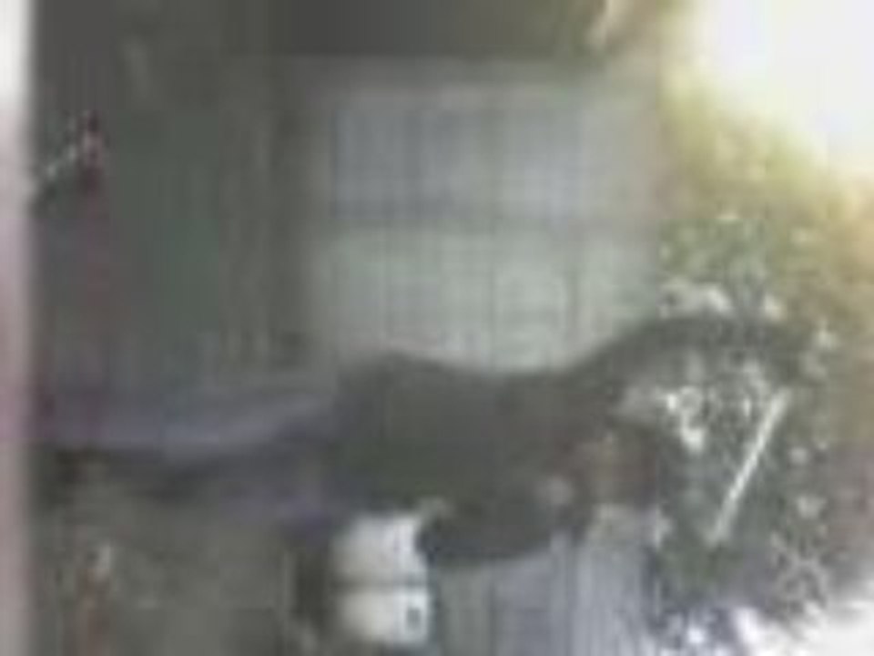 Slashing  L