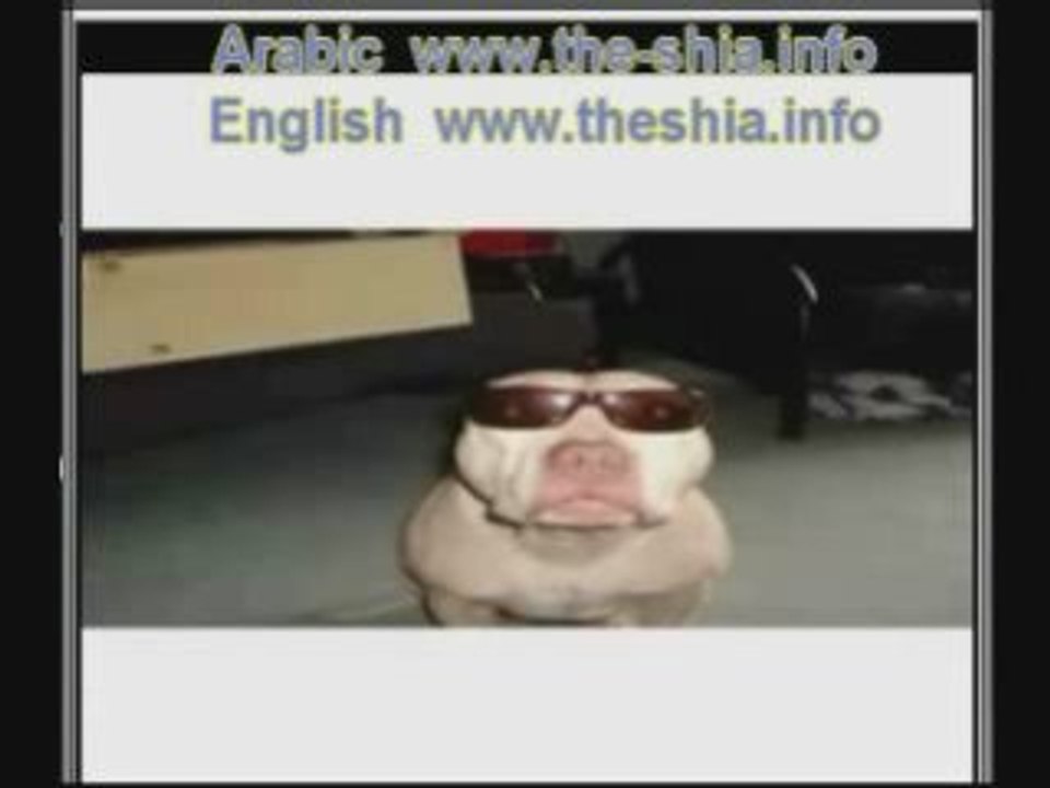 كلمة مقتدى السطل