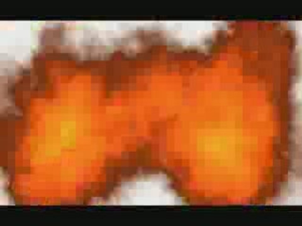 Demo reel aurelien bony