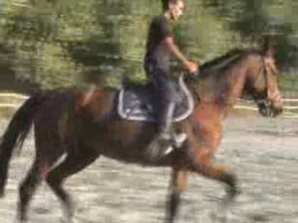 Ma chérie d' amour de ma vie (L)