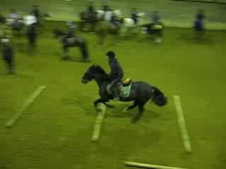 Saut G5 Hermès Mercredi 17 Décembre 2008