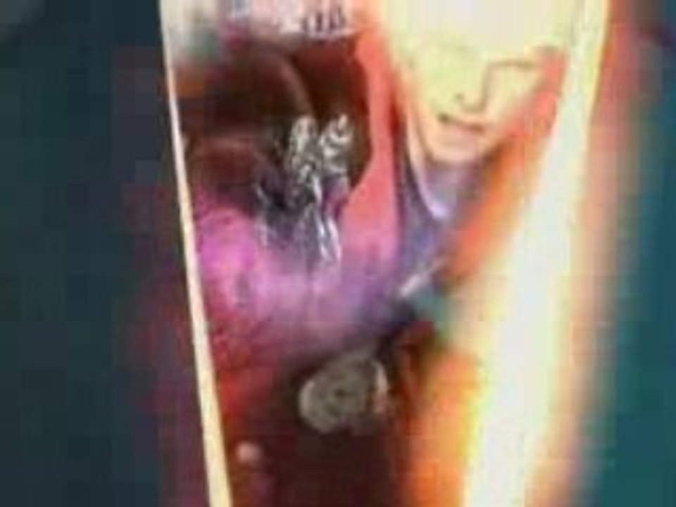 Devil May Cry 4