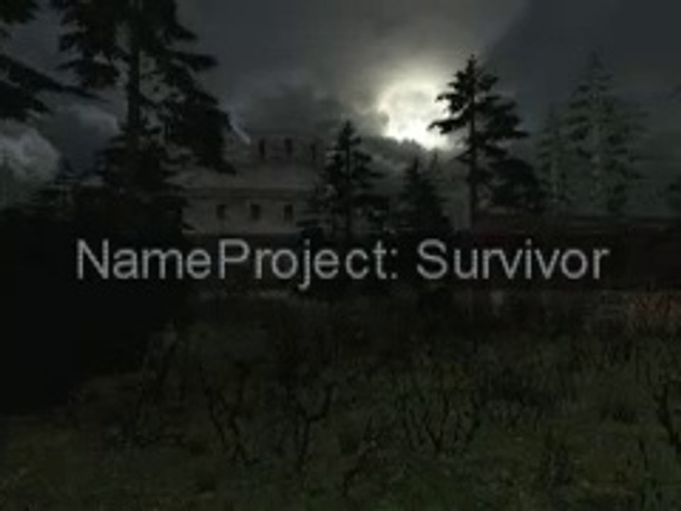 NameProject: Survivor