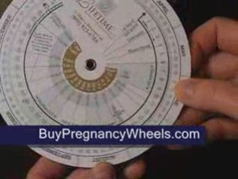 How To Use Pregnancy Wheels, Training - video Dailymotion