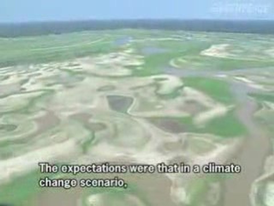 THE AMAZON DRIES UP