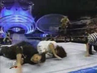 The Rock and Sock Connection vs Shane & Triple H