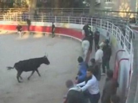 Bétisier 2008 :Télémiroir, les rois de l'arène
