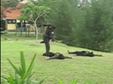 Tekong Silat Has Never Been Easier with Silat Video