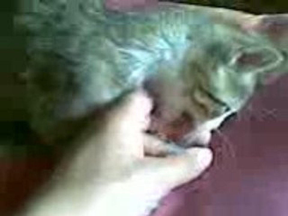 Caramel_28092008