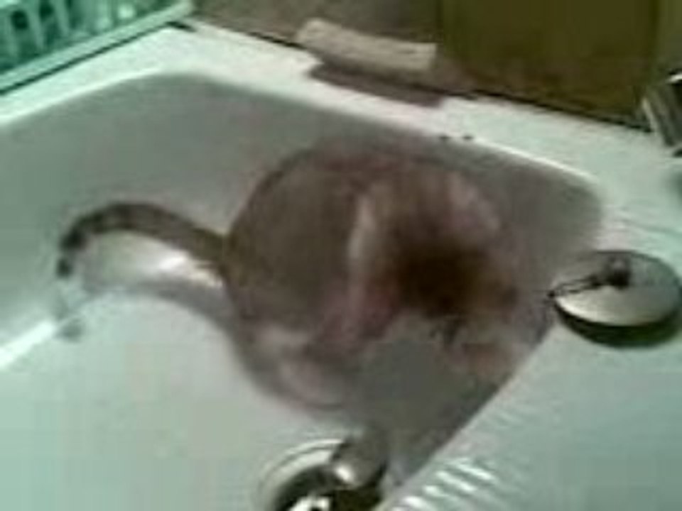 Caramel dans l'évier_11102008