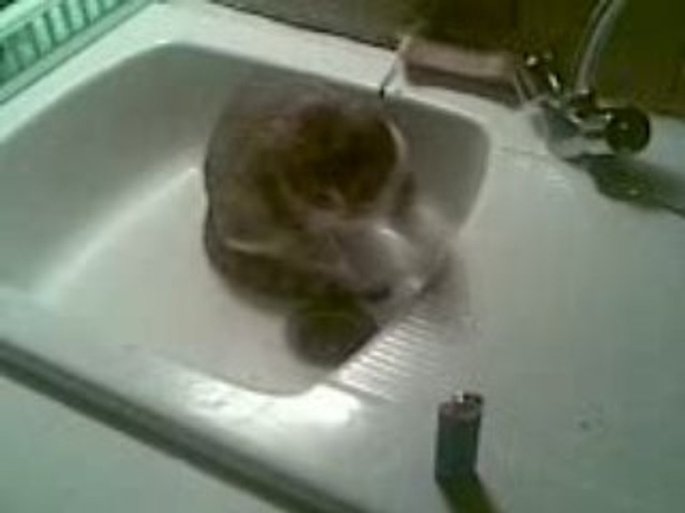 Coup du briquet // 09122008