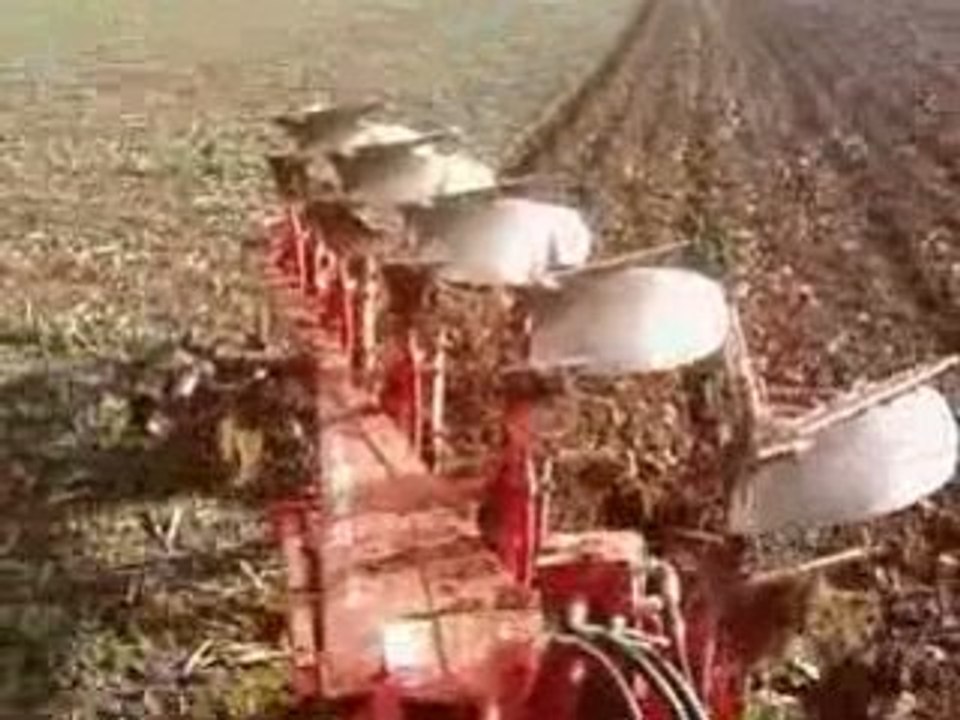 Labour mx 135 (1)