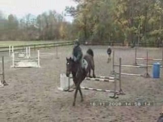 stage ivan scherer nov 08