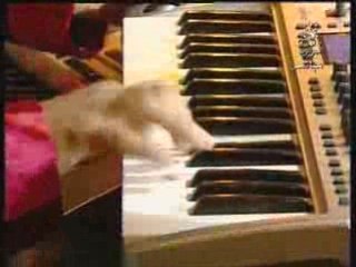 Al hane wa chabab p 8 Husein حسين انا الشاكي انا الباكي