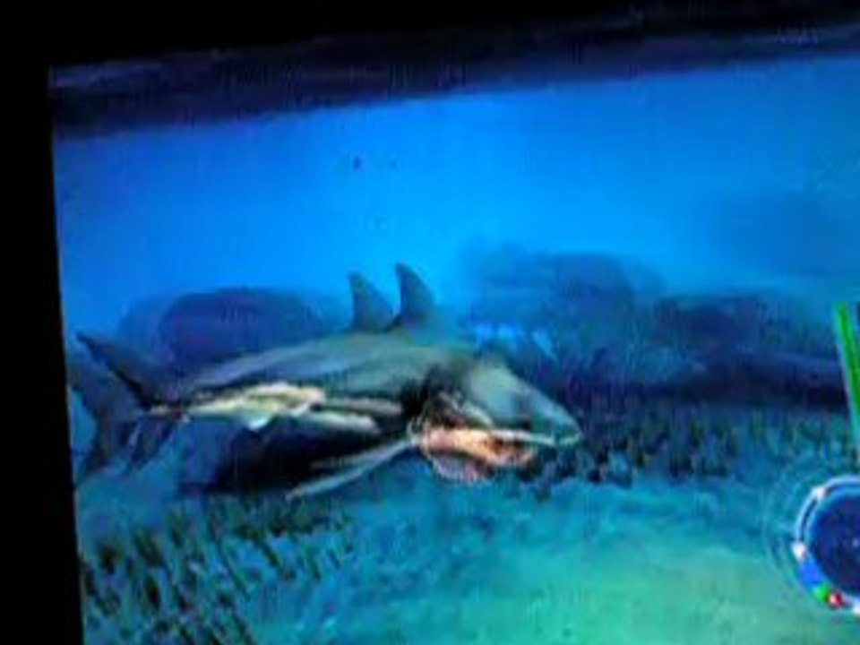 Jaws 5