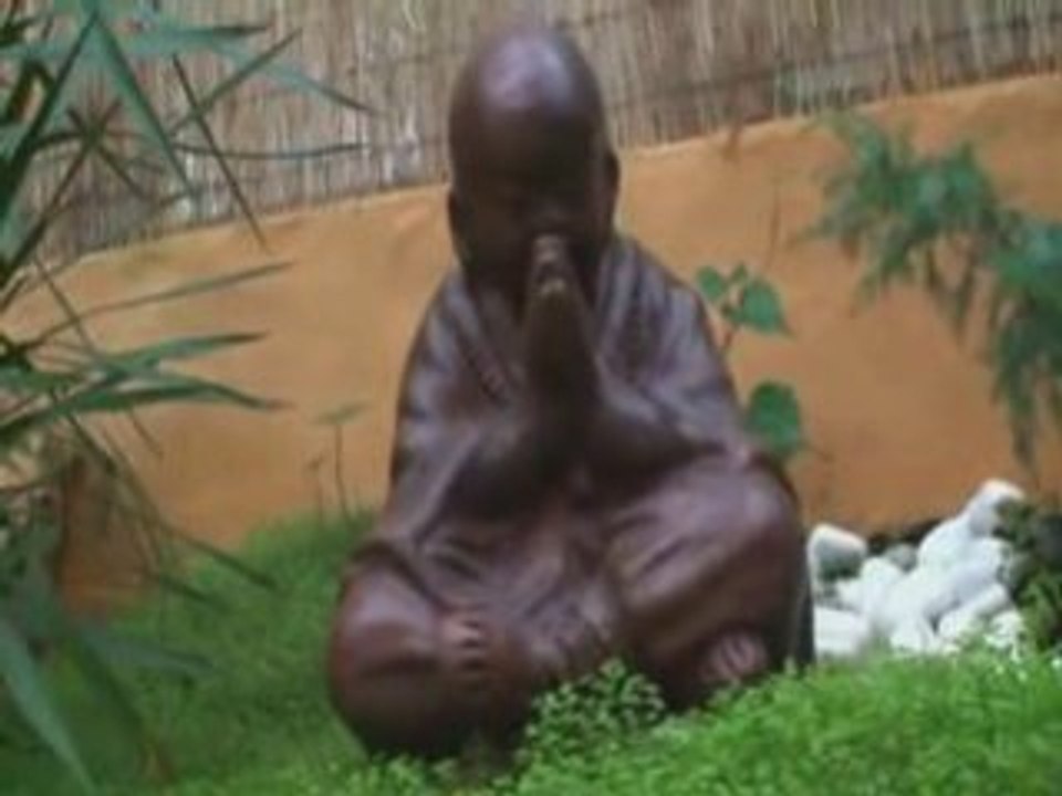 Parc Floral et Tropical de la Court d'Aron