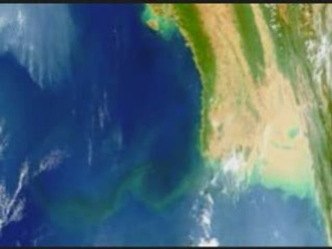 gastrointestinal feat nimphphlown (phreestyle production)