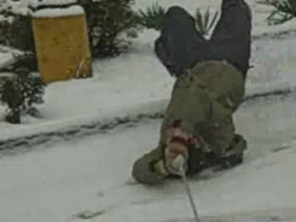 Sled vs Curb