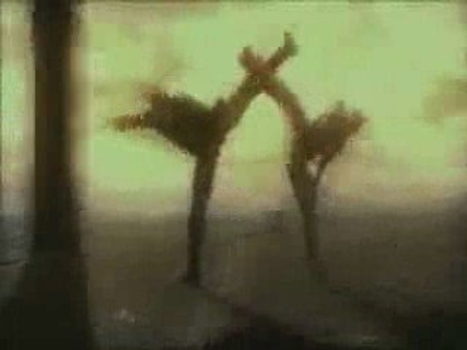 MGS amv