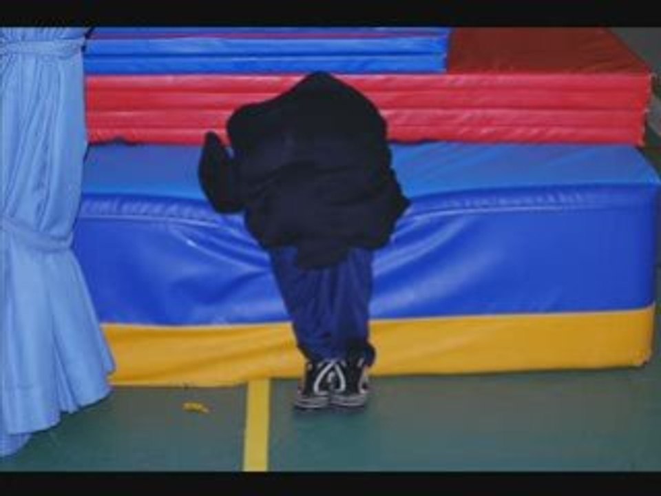 TELETHON 2008(3)