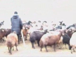 Şahverdi Köyü - Video1