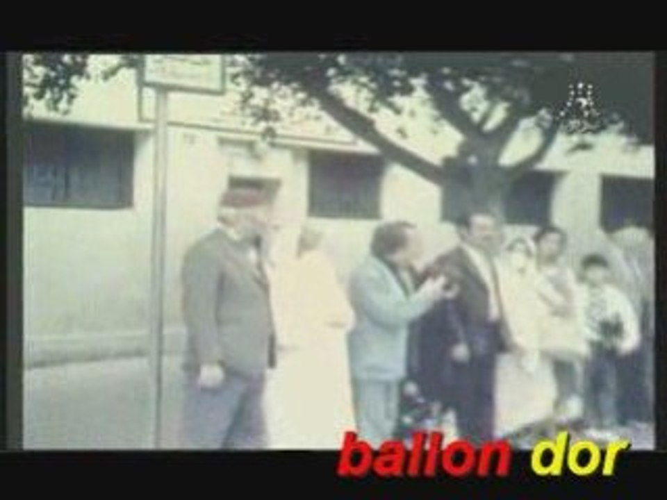 LE CHAT,L INSPECTEUR ET L APPRENTI...