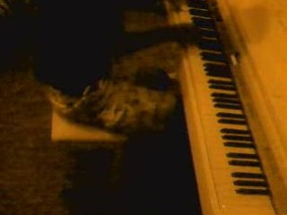 butterfly and hurricane 1