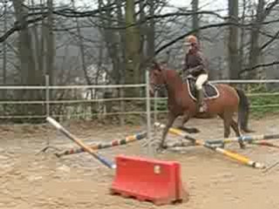 Cours Galop 5 samedi 20/12/08