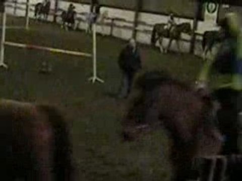 Reprise, trot enlevé sans étriers