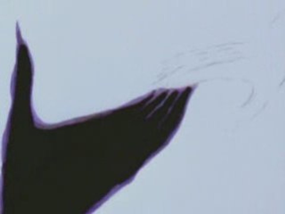 :wumpscut: - die liebe AMV