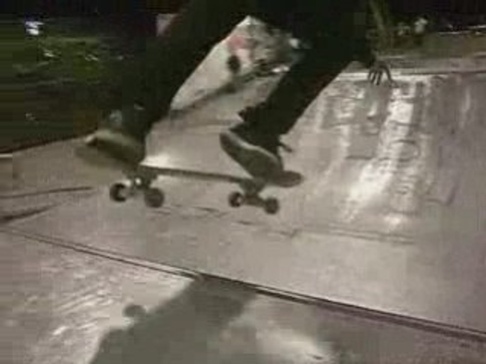 Skate - 20/12/08 Bercy