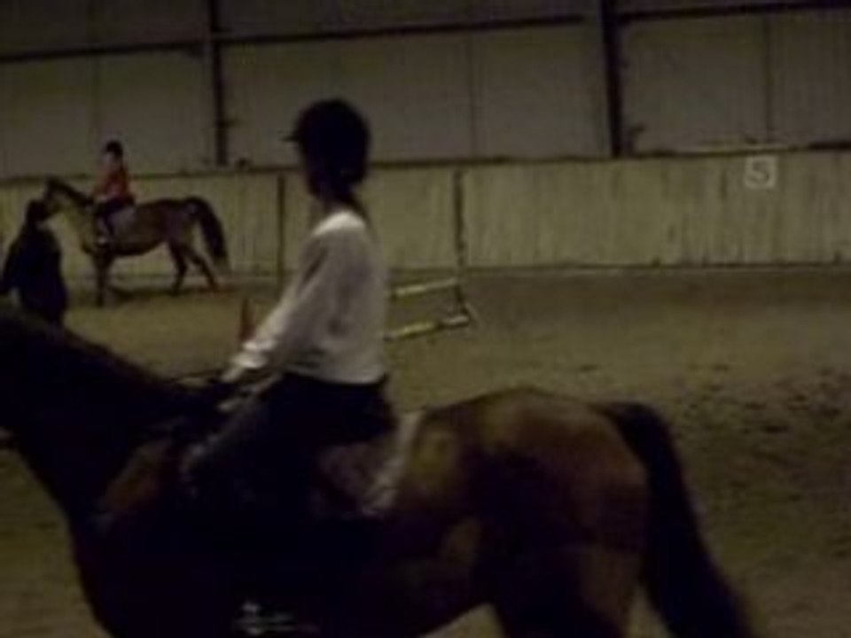 29.11.08 048