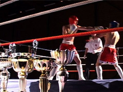 Les championnats d'Alsace de Kick Boxing