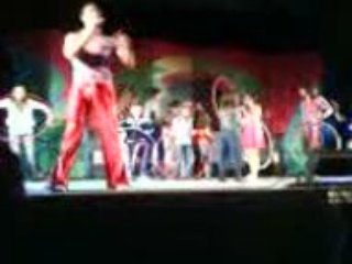 arbre de Noël Lorillard 2008