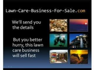 Lawn Care Business For Sale and Landscape Company For Sale